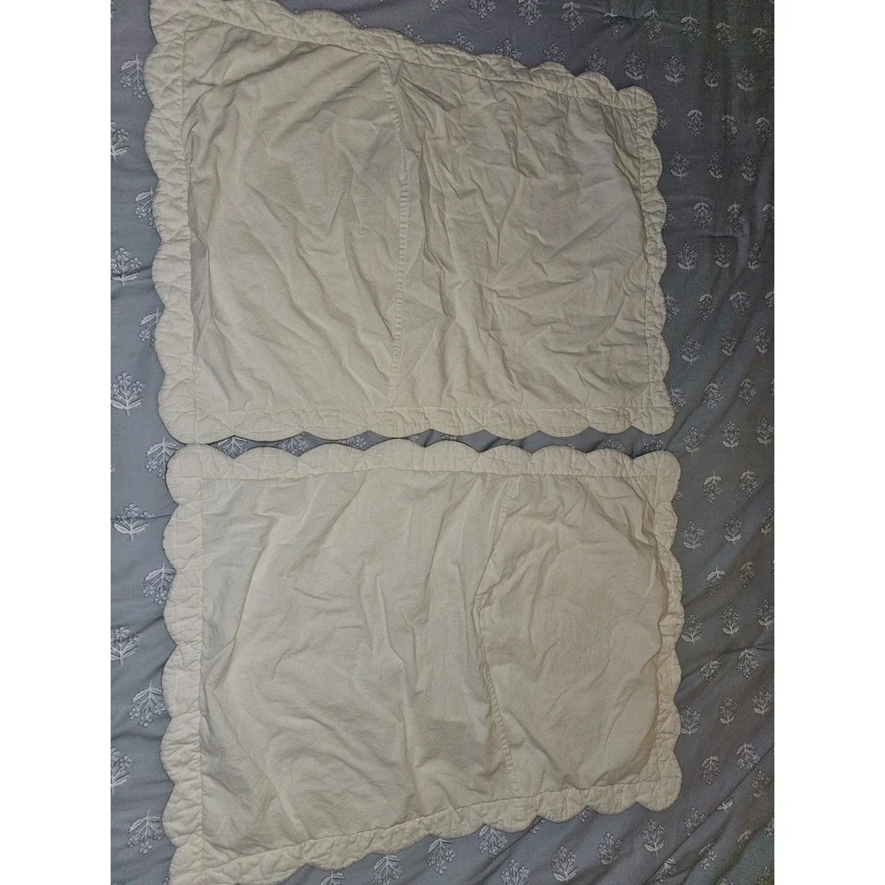 embroidered center medallion quilt  With  a decorative floral and Vines 2 Shams